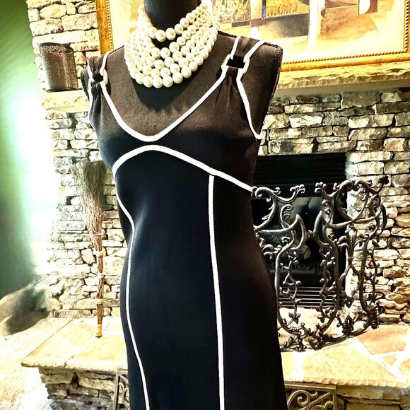 Lovely BCBG sleeveless Black tailored Dress with 2 vertical stripes, Size Small - Picture 2 of 9